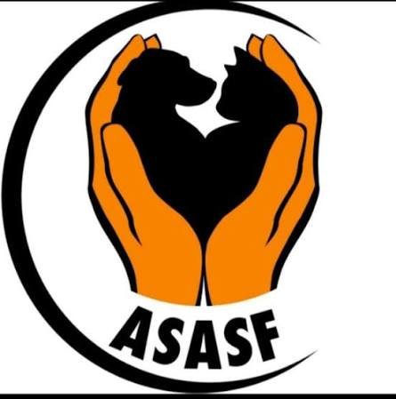 Asociación animalista sin fronteras