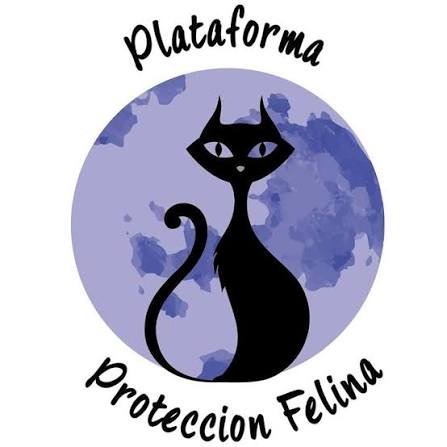 La plataforma de protección felina