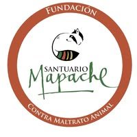 FUNDACIÓN CONTRA MALTRATO ANIMAL