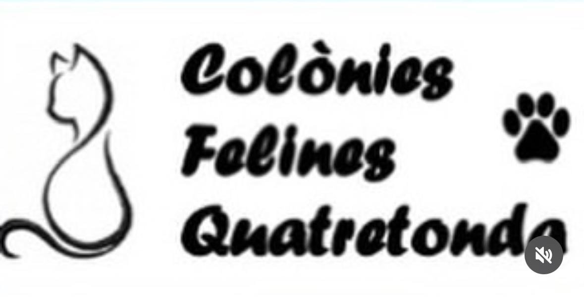 Colònies Felines Quatretonda