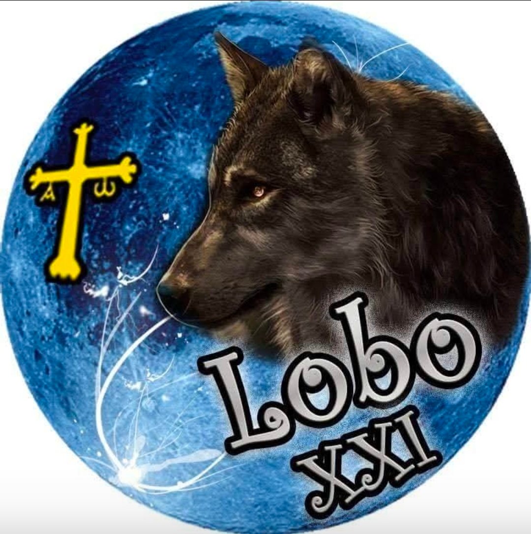 Lobo XXI