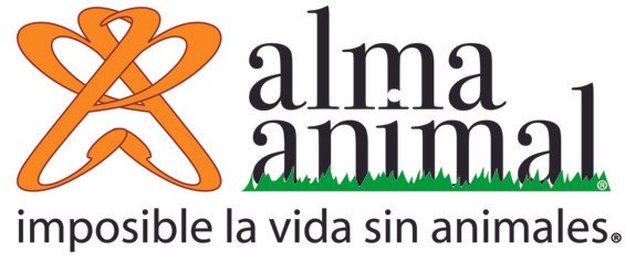 Alma Animal organización civil México