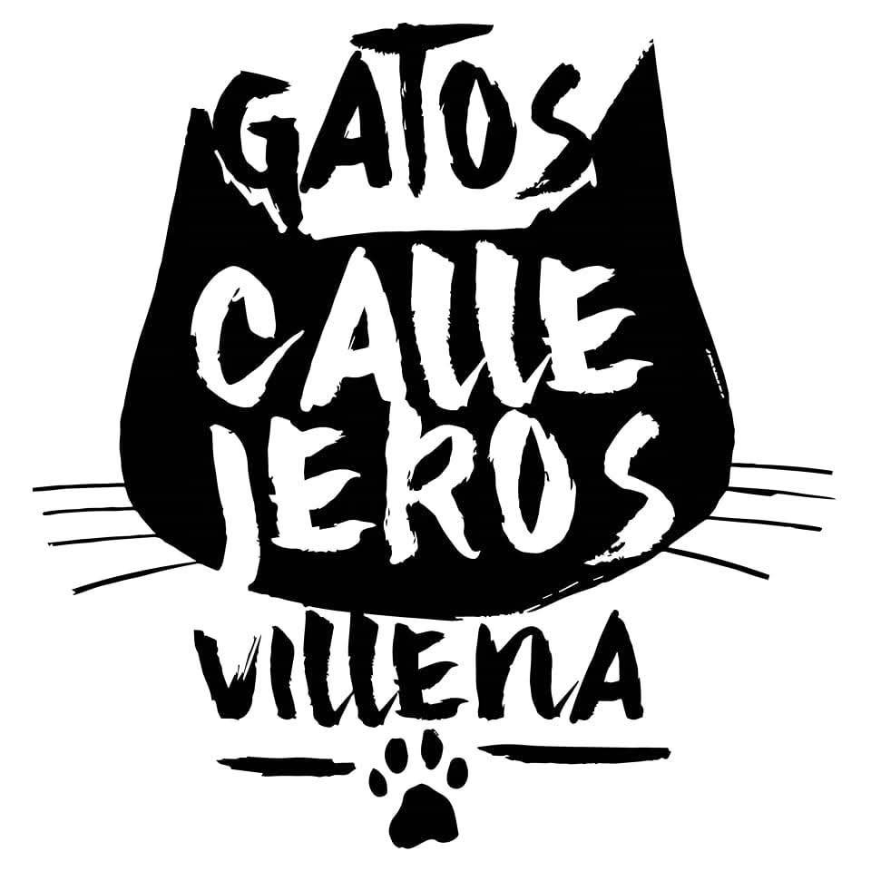 Gatos Callejeros Villena