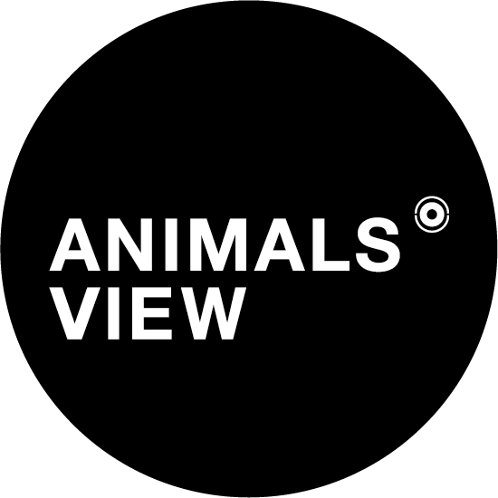 Animals' View