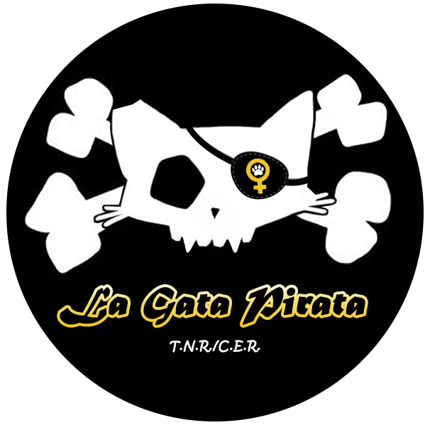 La Gata Pirata