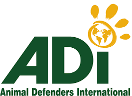 ADI International Reino Unido, Estados Unidos y Colombia