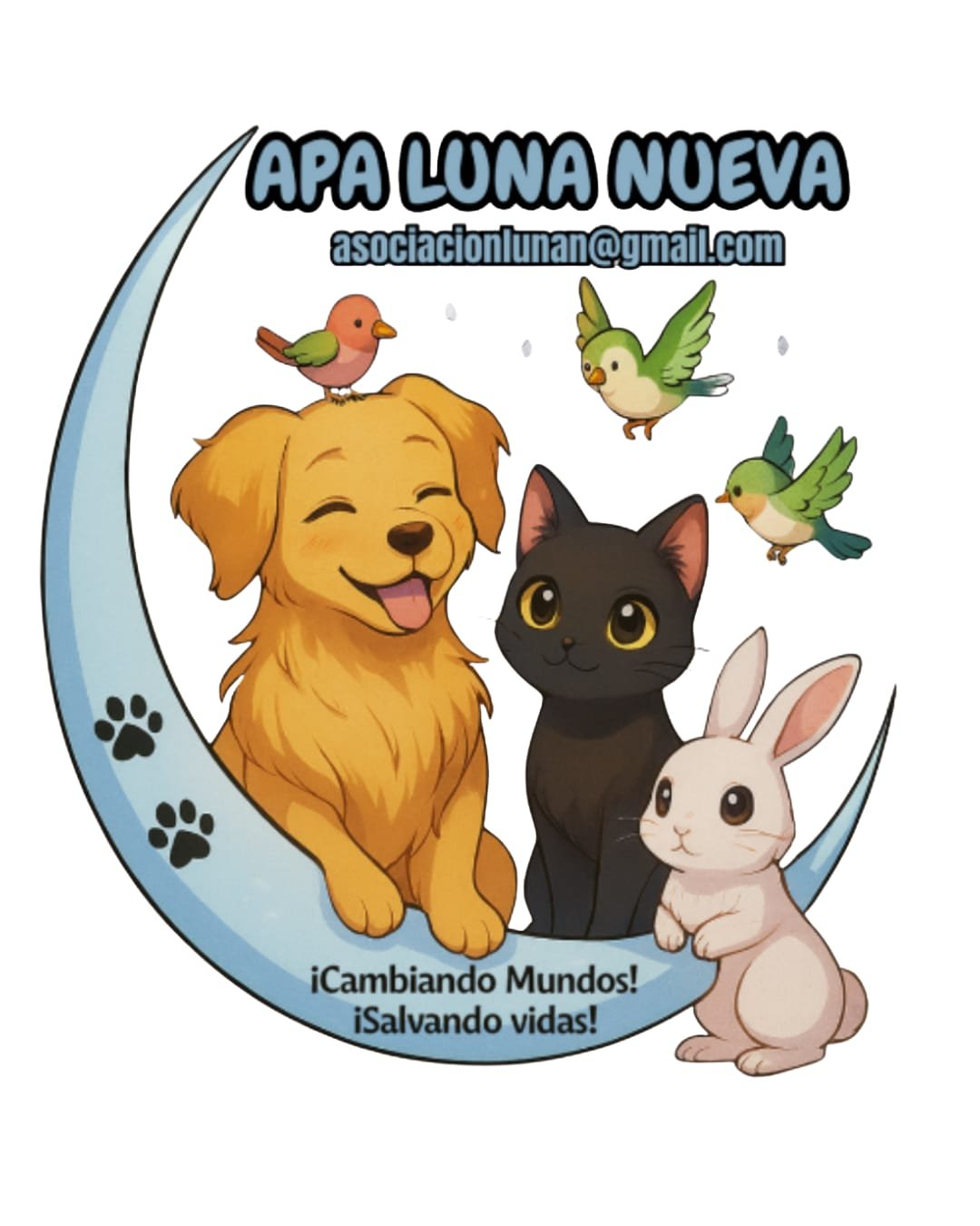 APA LUNA NUEVA