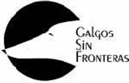 Galgos Sin Fronteras