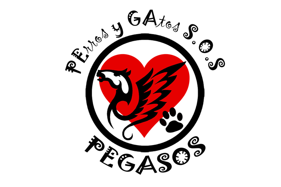 APA PEGASOS