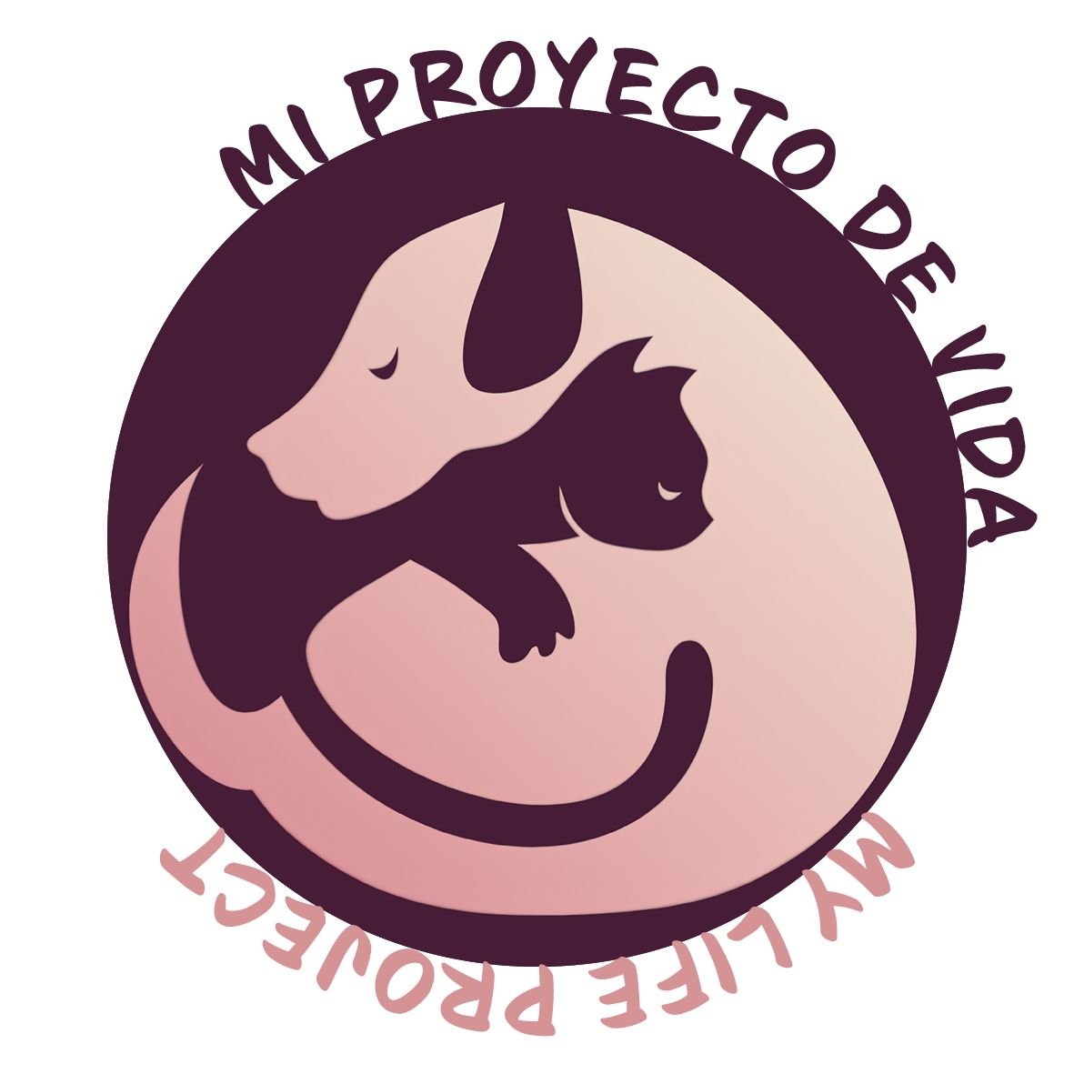 MI PROYECTO DE VIDA