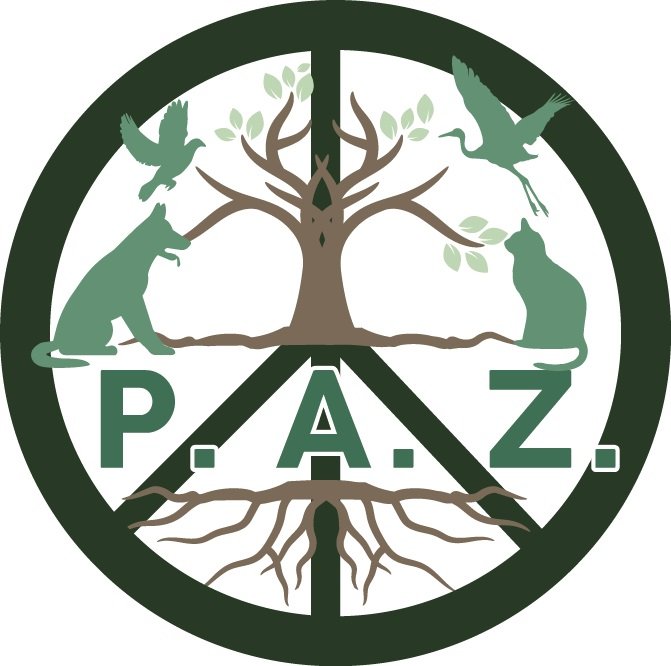 Plataforma Animalista de Zaragoza