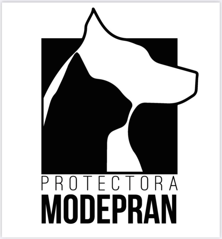 PROTECTORA MODEPRAN